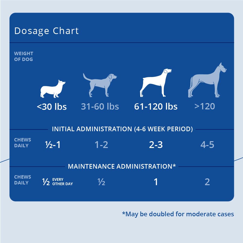Joint Supplement Soft Chews for Dogs, 90 Chews R65933