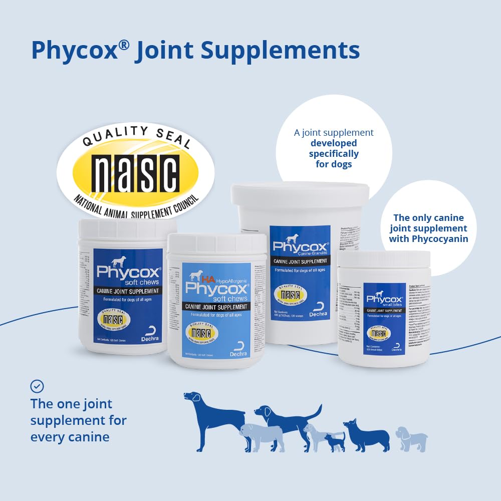 Joint Supplement Soft Chews for Dogs, 90 Chews R65933