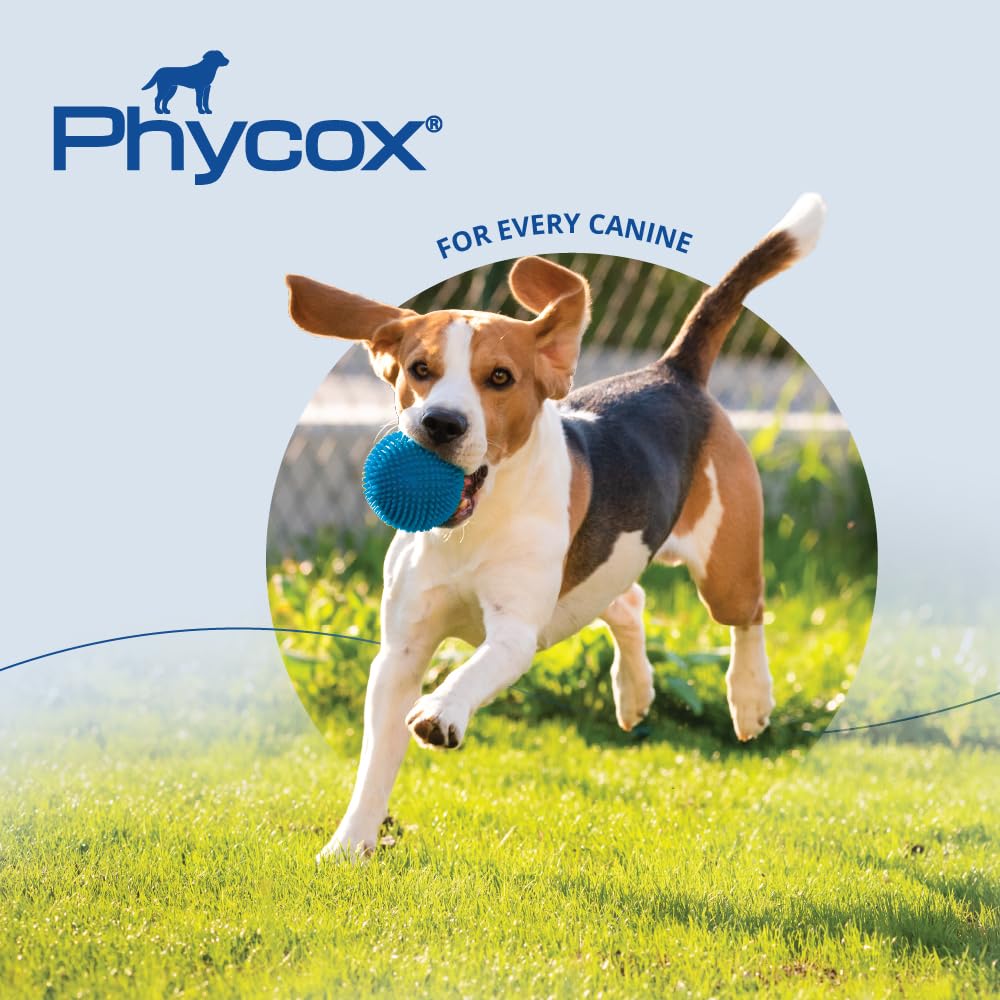 Joint Supplement Soft Chews for Dogs, 90 Chews R65933