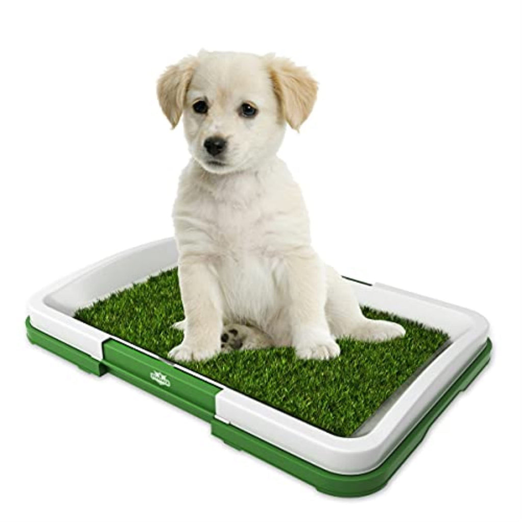 Artificial Grass Pee Pad Set for Dogs L274464
