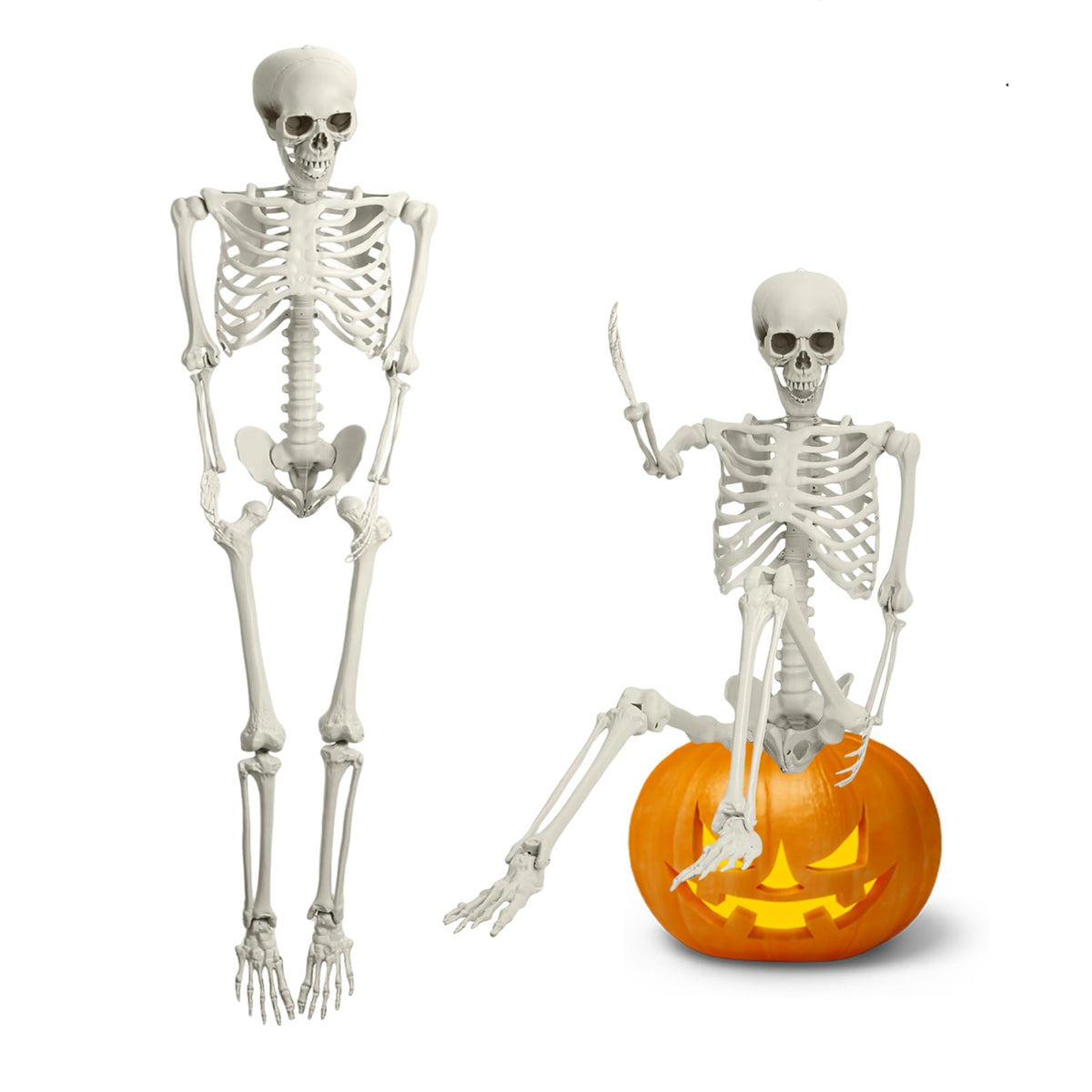 5.4FT Posable Full Body Skeleton with Movable Joints D301