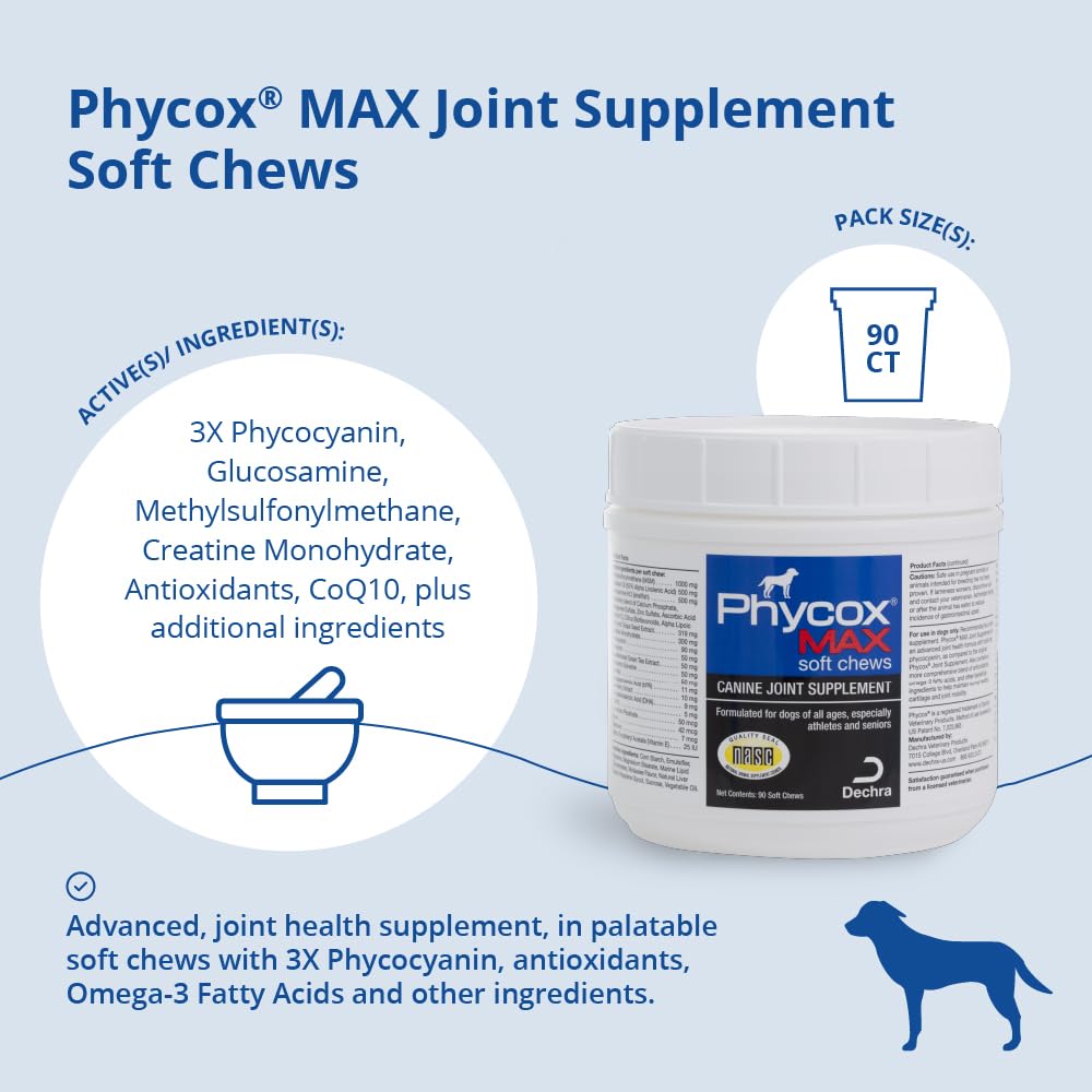 Joint Supplement Soft Chews for Dogs, 90 Chews R65933