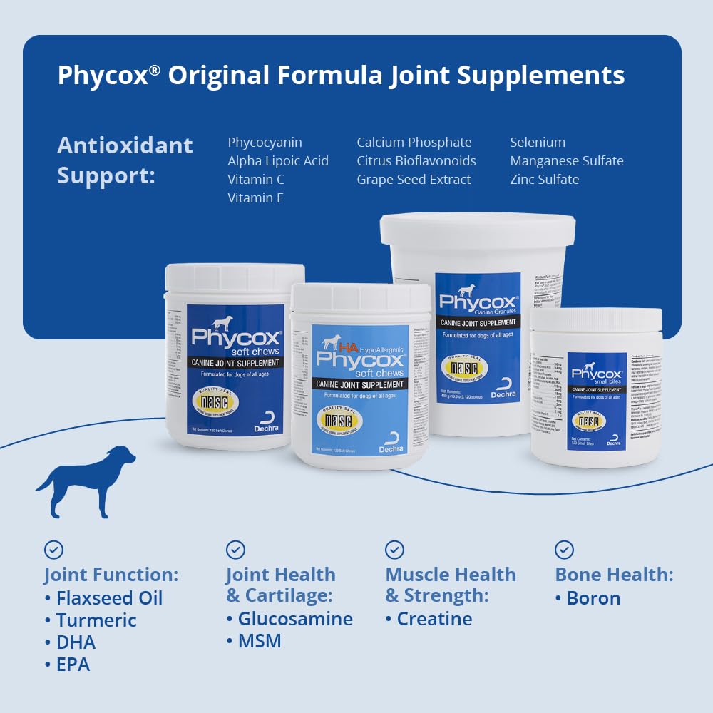 Joint Supplement Soft Chews for Dogs, 90 Chews R65933