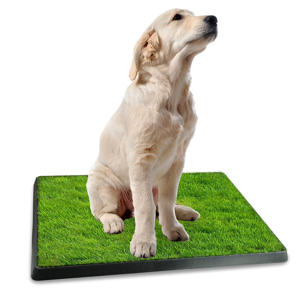 Indoor Dog Potty Grass Pad with Tray F799906