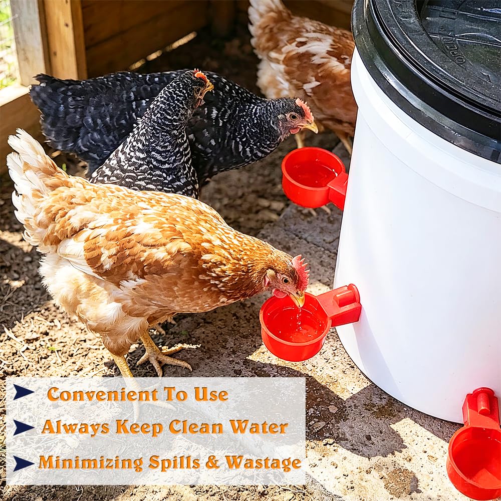Automatic Poultry Waterer Cups L166020