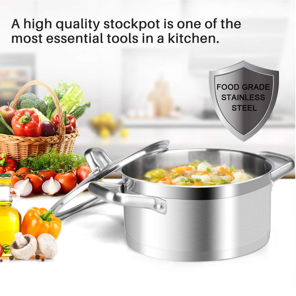Stainless Steel 4.2 Qt Stock Pot with Lid T22755