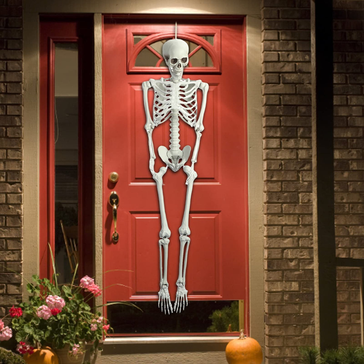 5.4FT Posable Full Body Skeleton with Movable Joints D301