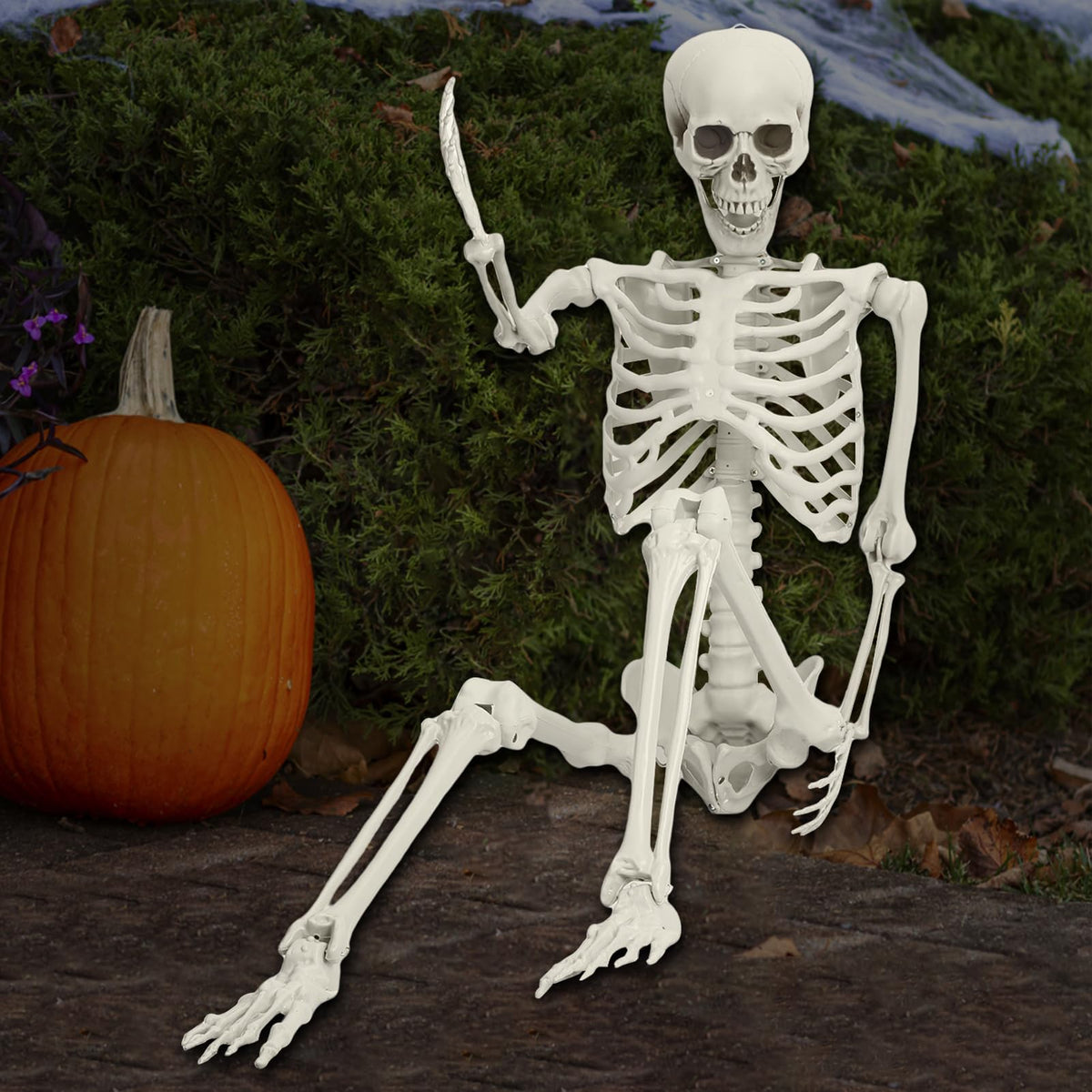 5.4FT Posable Full Body Skeleton with Movable Joints D301