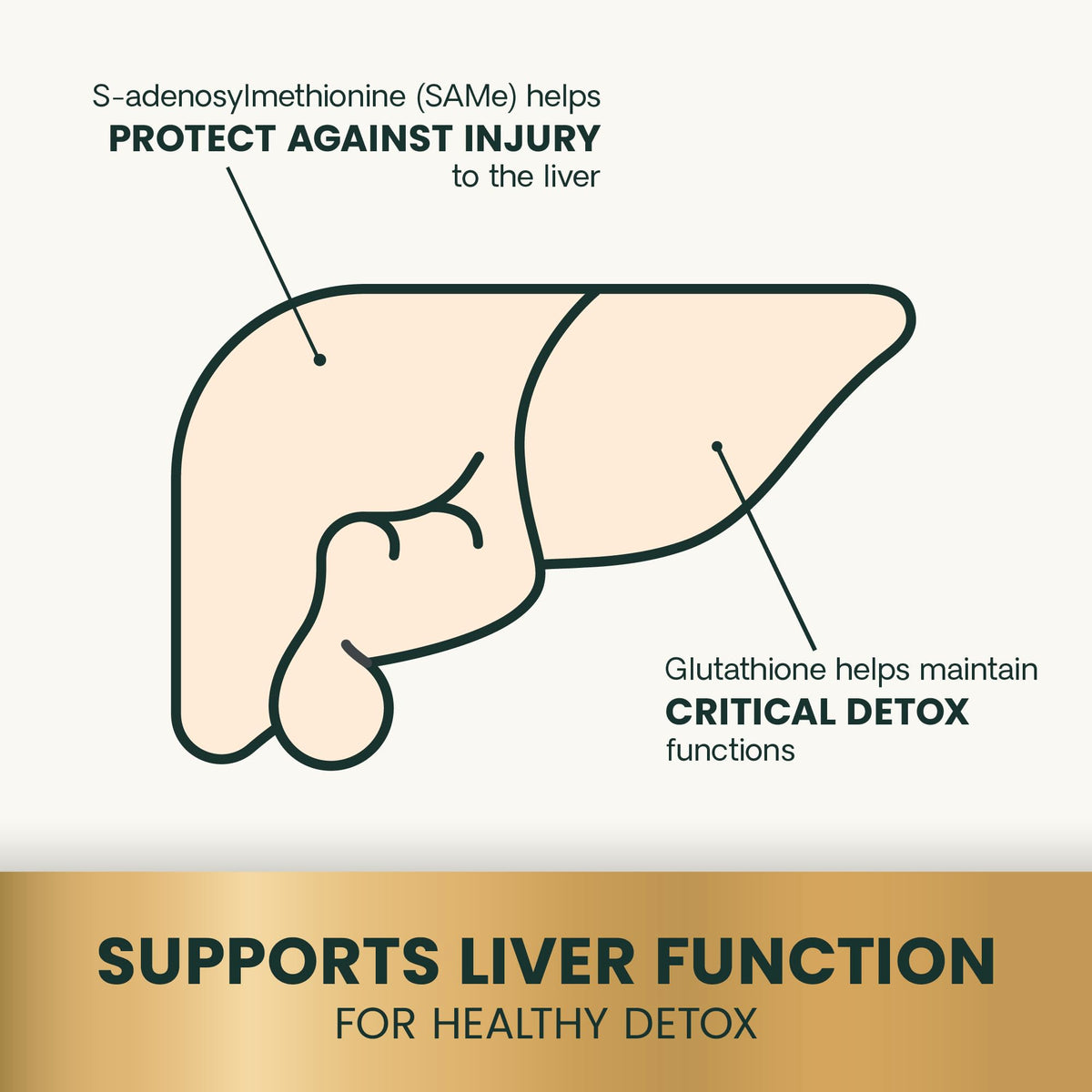 Liver Health Tablets for Dogs 30 Count M79997