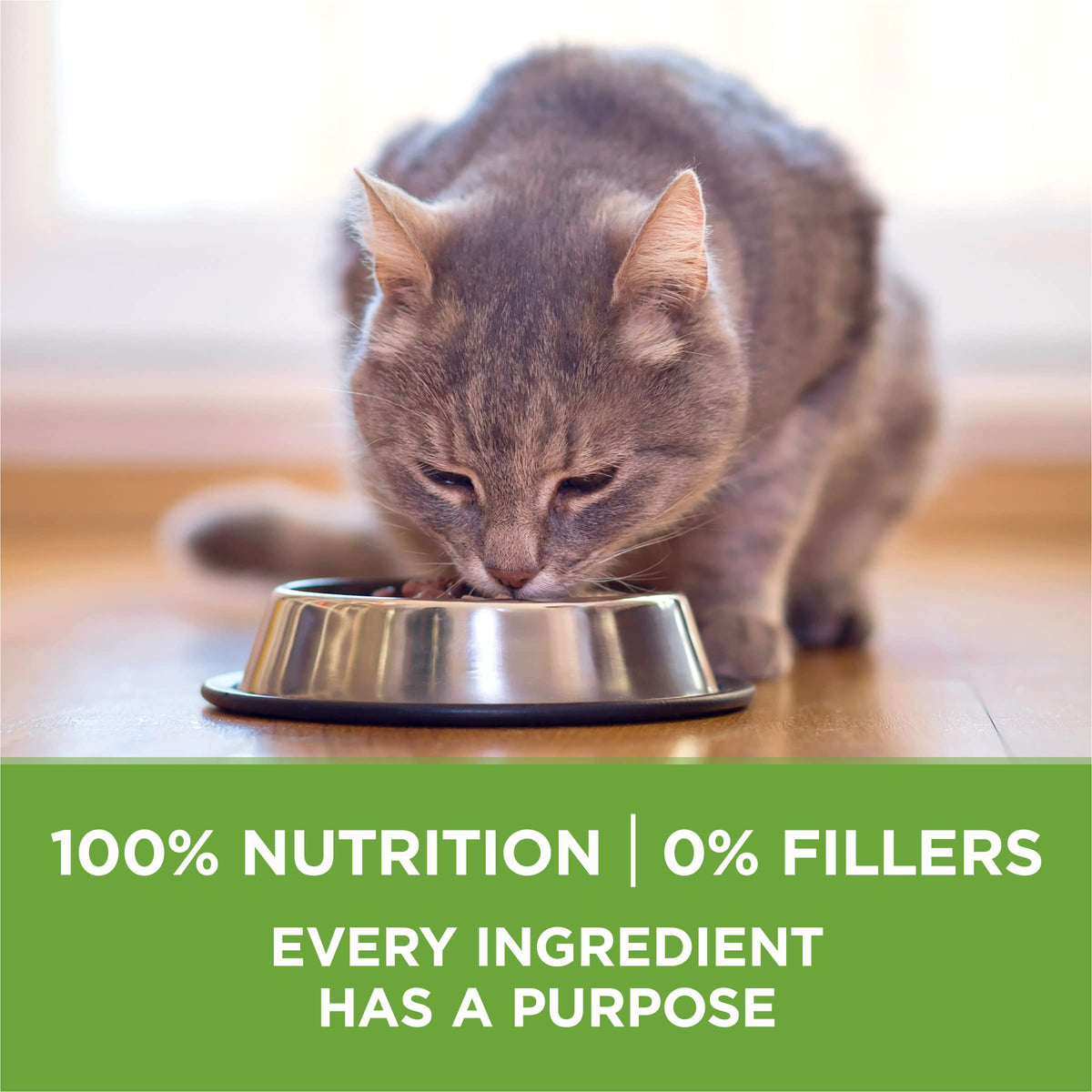 Indoor Weight Control Dry Cat Food 16 lb Bag V958050