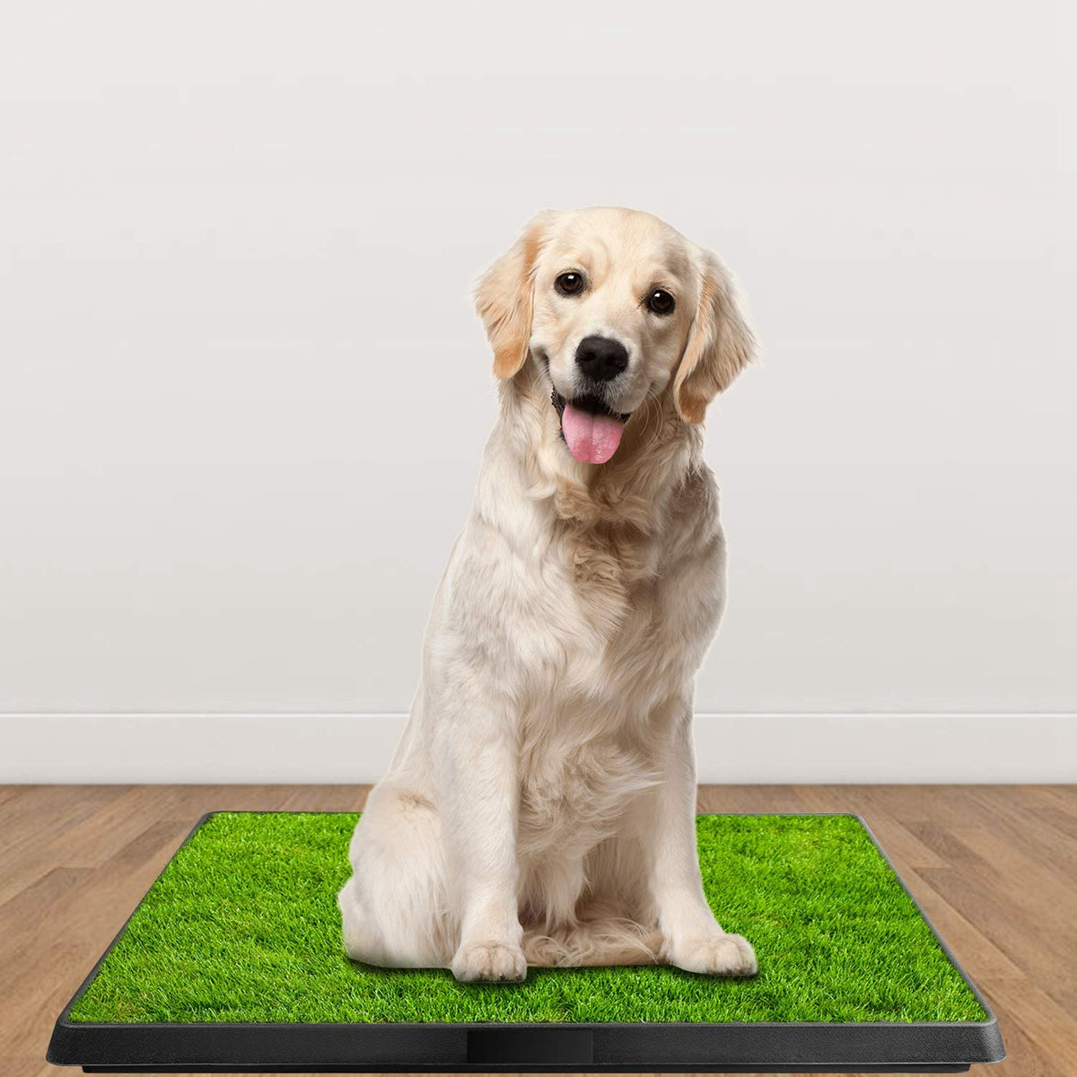 Indoor Dog Potty Grass Pad with Tray F799906