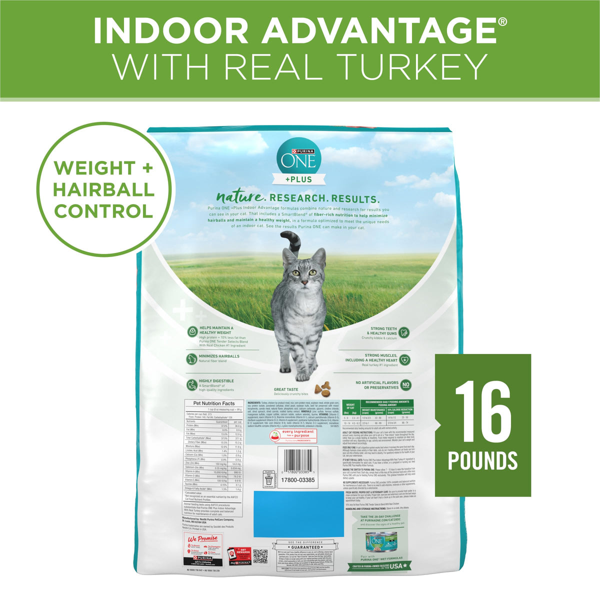 Indoor Weight Control Dry Cat Food 16 lb Bag V958050