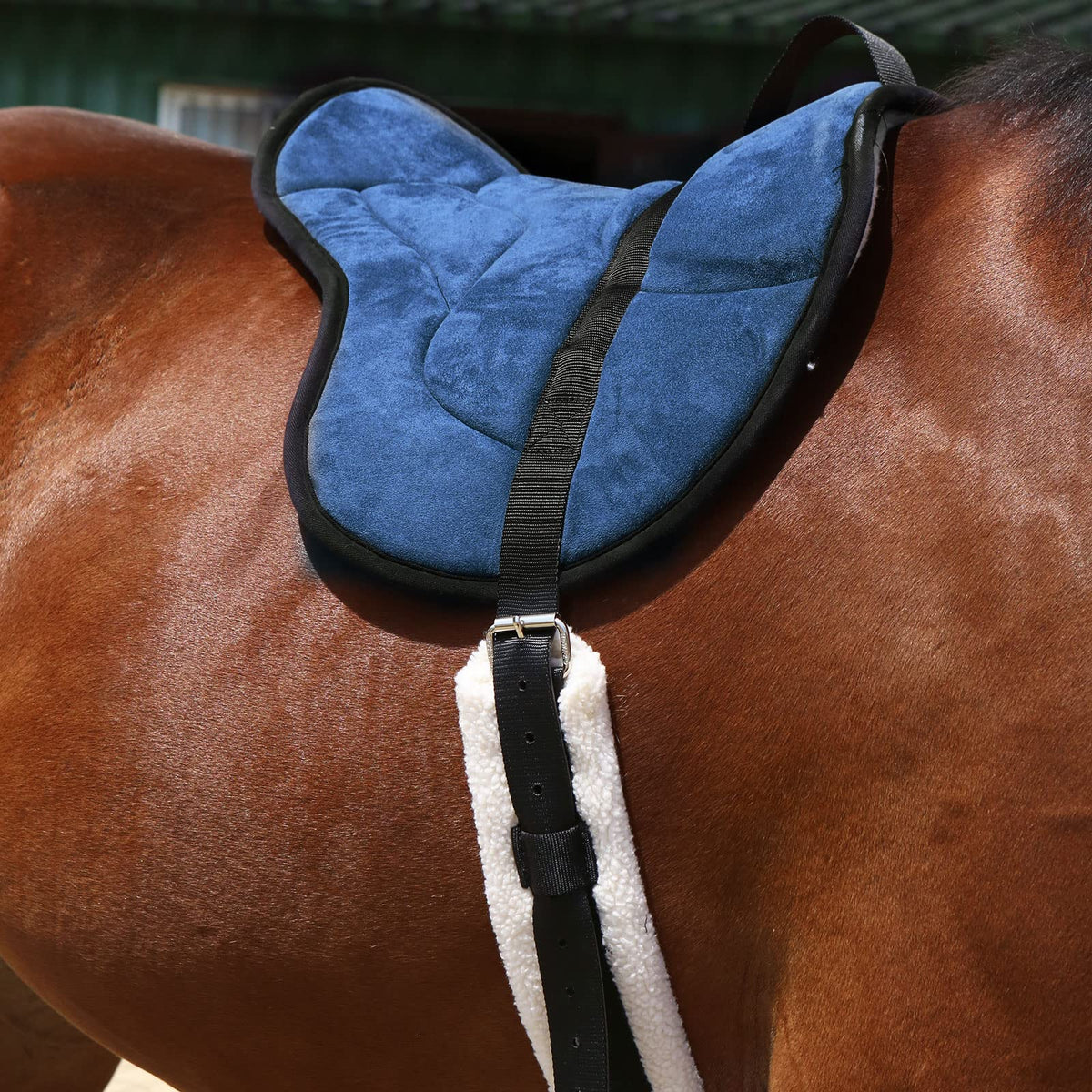 Horse Riding Pad with Matching Girth Y8615