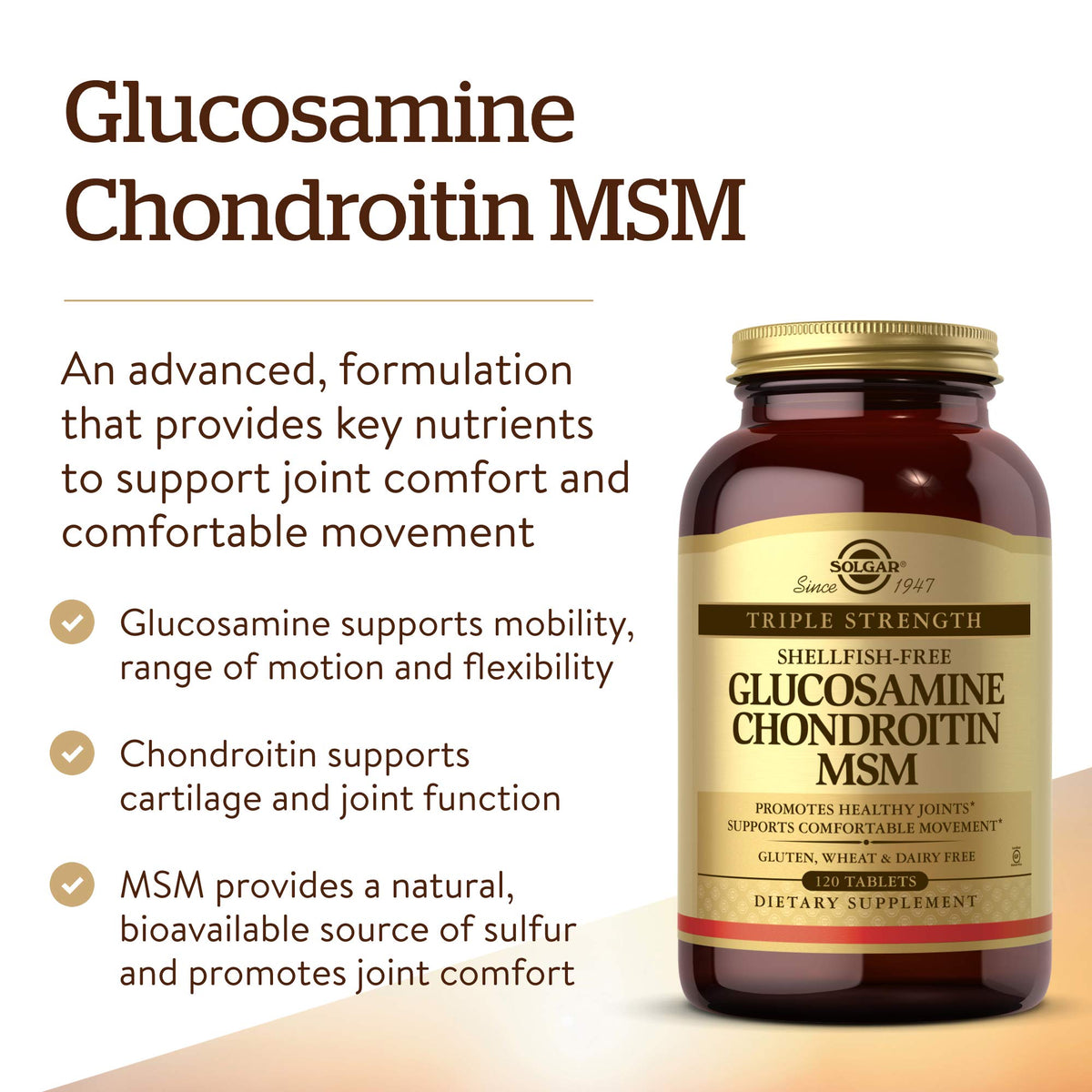 120 Tablets Glucosamine Chondroitin MSM R99351