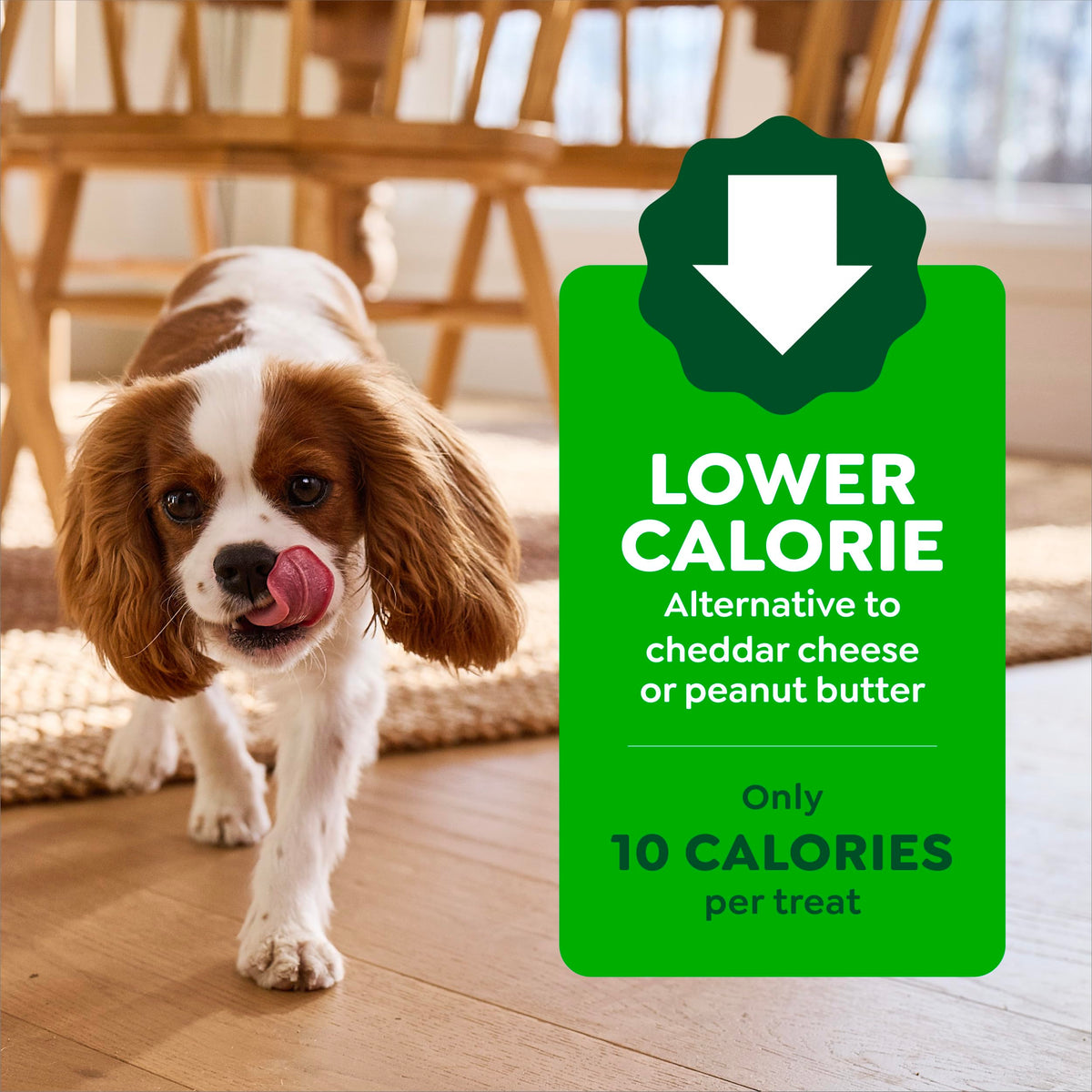 Chicken Flavor Small Dog Treats 3.2 oz L909469