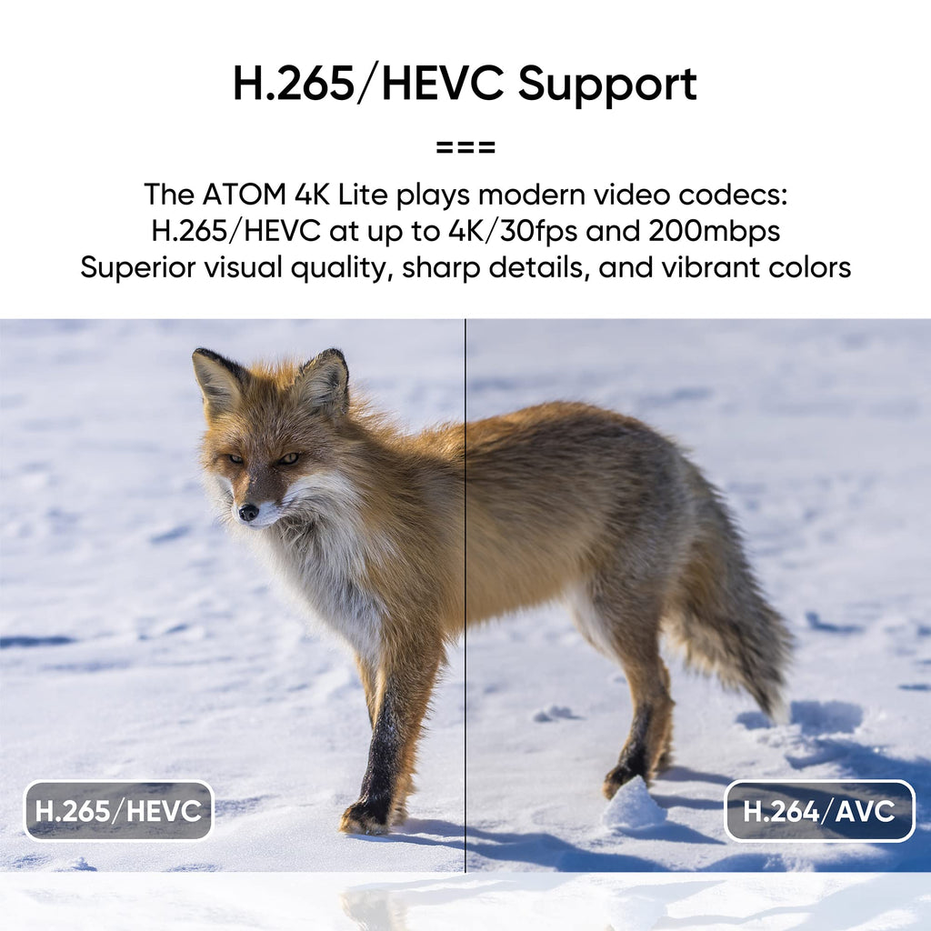 4K Media Player for USB Drives and SD Cards Z24235