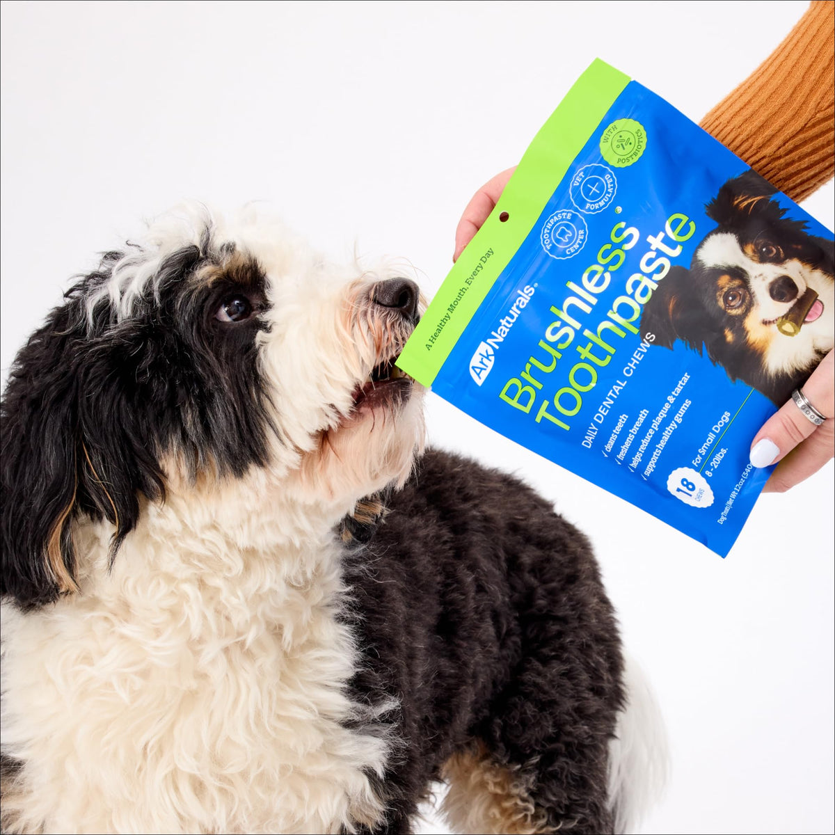 Brushless Toothpaste Dog Dental Treats Small Breeds 18 ct O33843