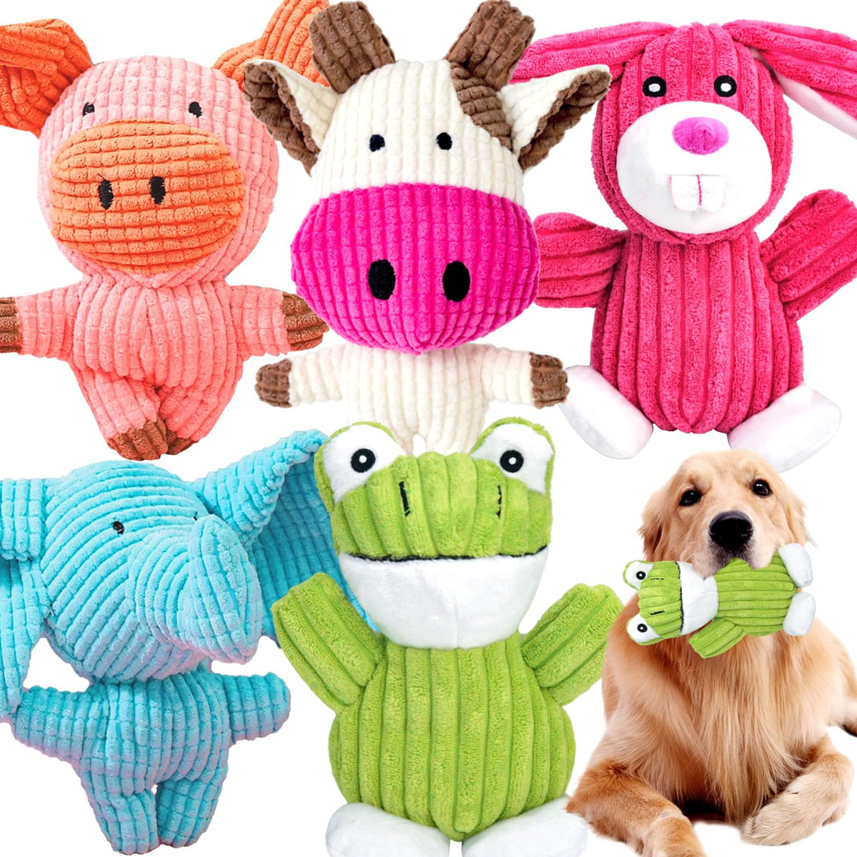 Dog Squeak Toys B55842