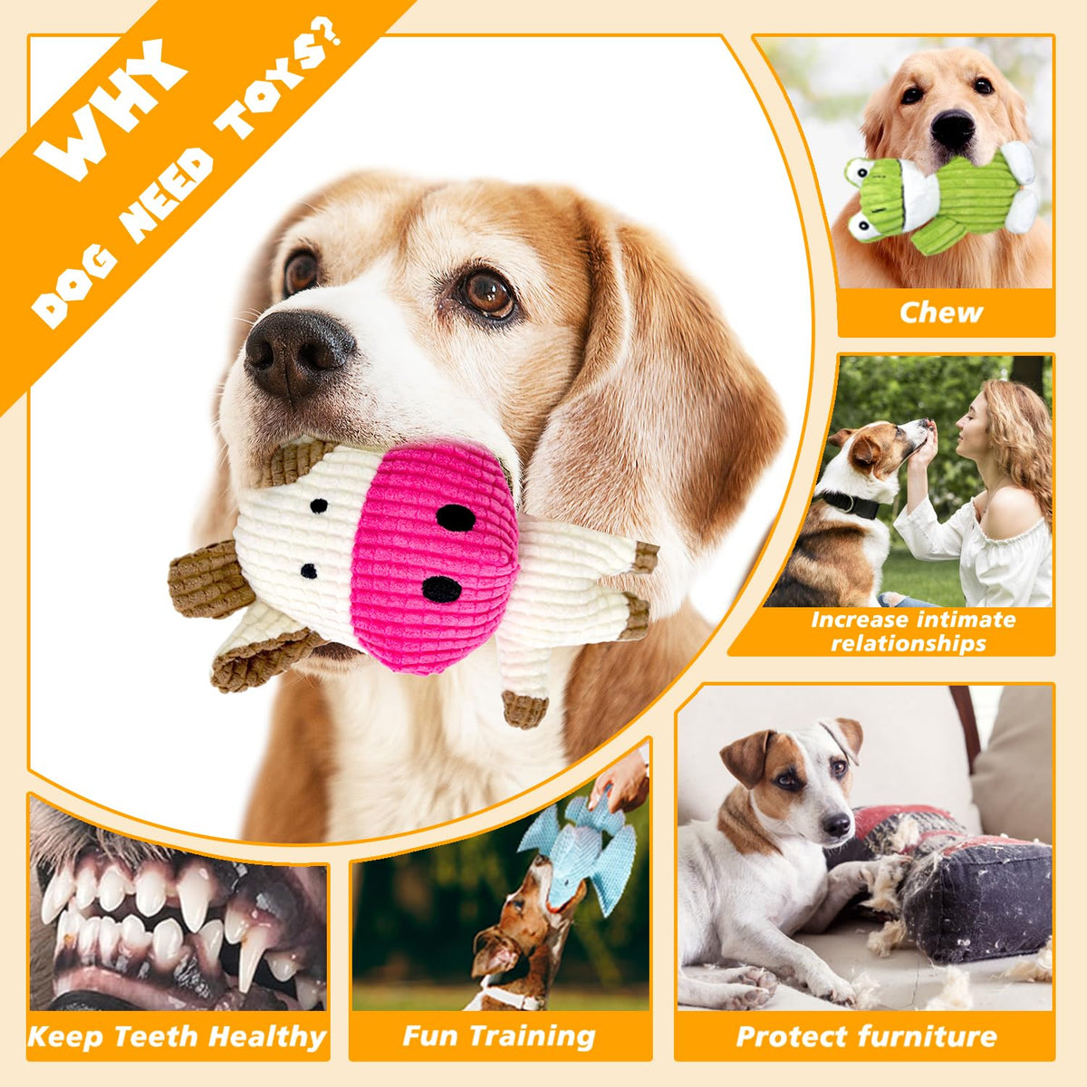 Dog Squeak Toys B55842