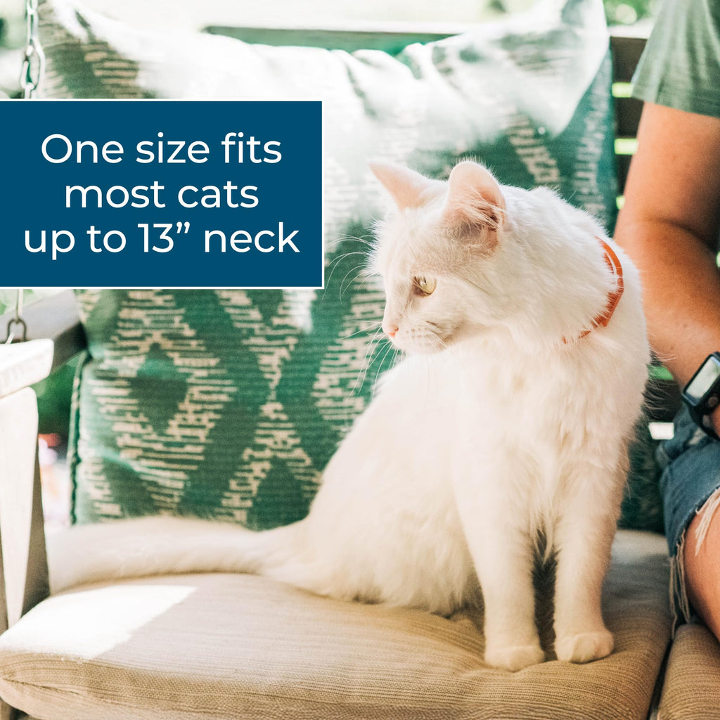 Flea & Tick Repellent Cat Collar U64710