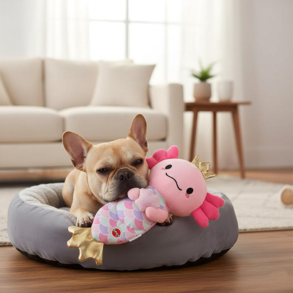10″ Soft Plush Dog Toy with Squeaker A526