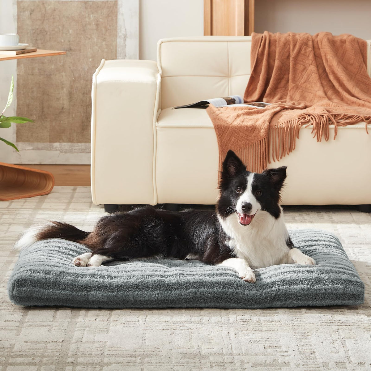 Washable Dog Bed R11859