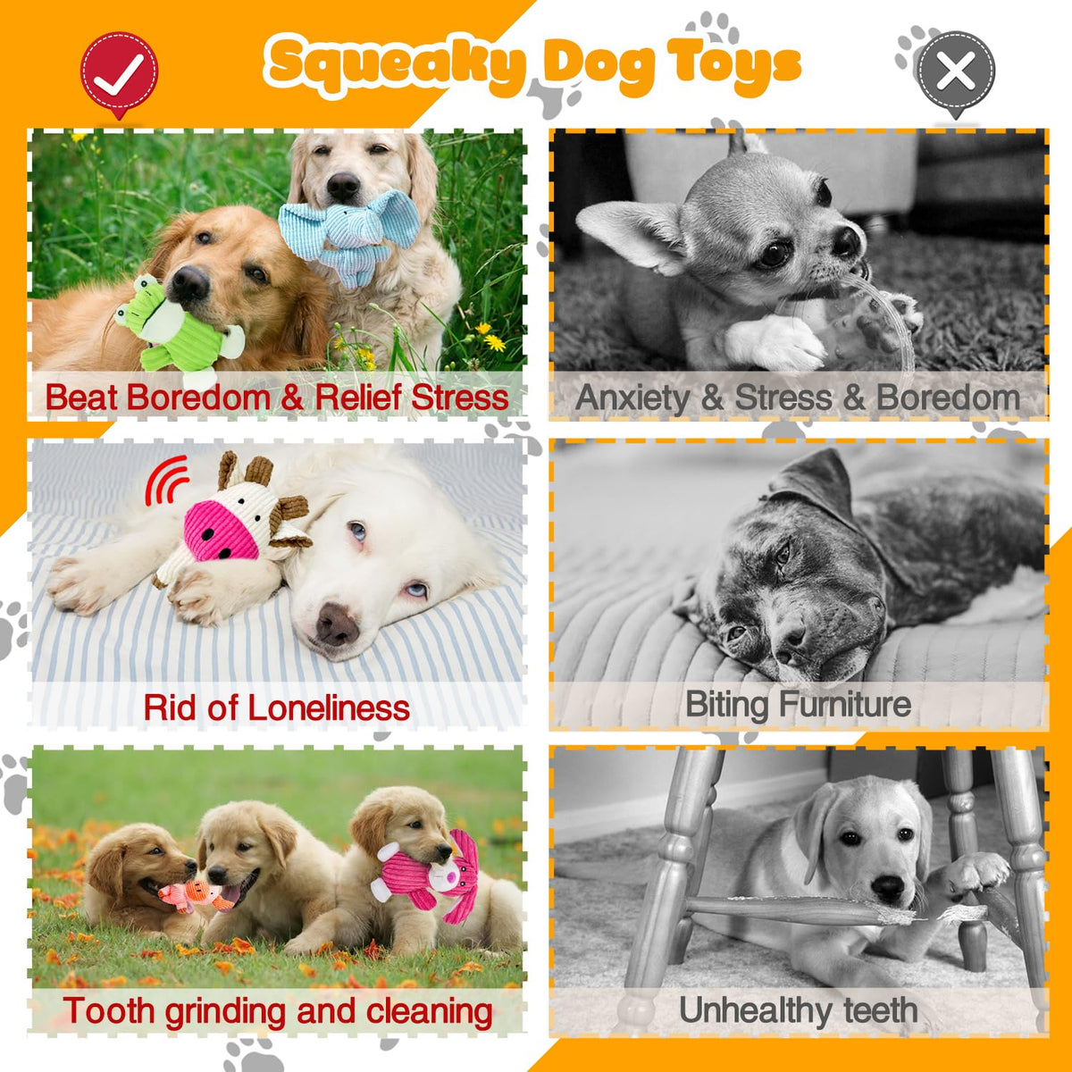 Dog Squeak Toys B55842
