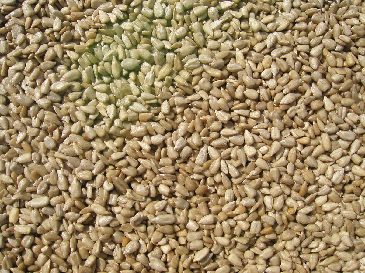 Sunflower Meats Bird Seed 20-Pound M275042
